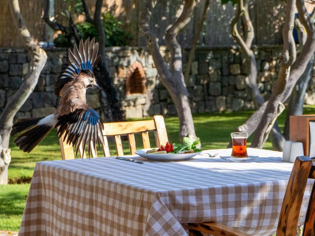 Hotel Gumusluk Εξωτερικό φωτογραφία
