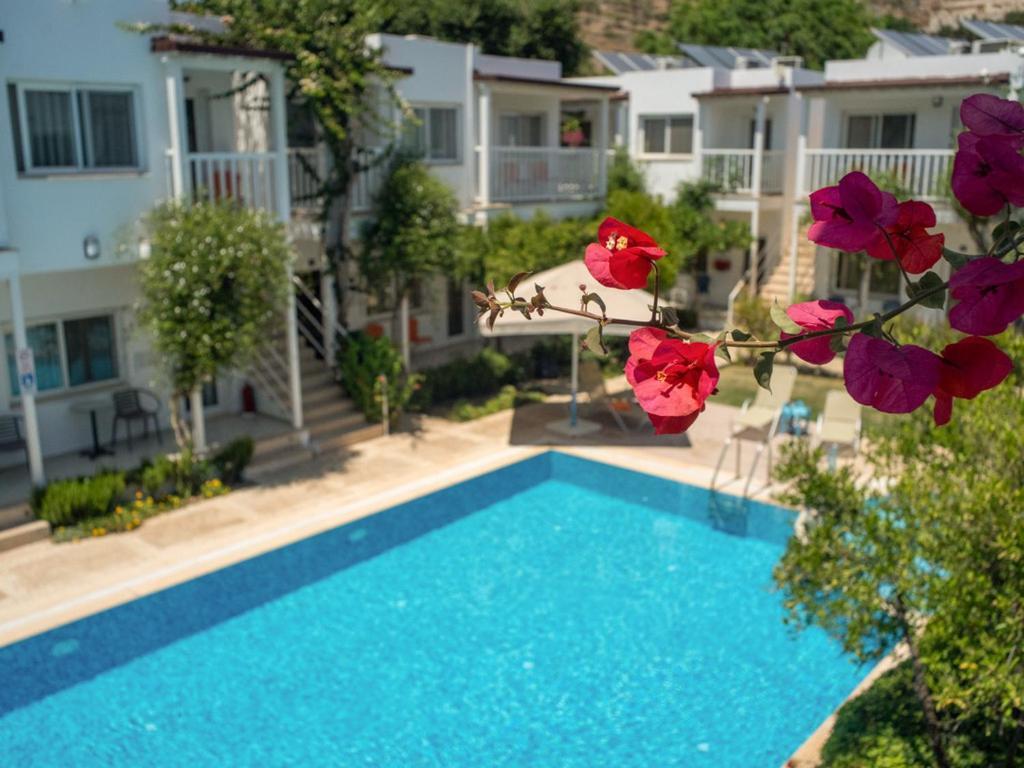 Hotel Gumusluk Εξωτερικό φωτογραφία